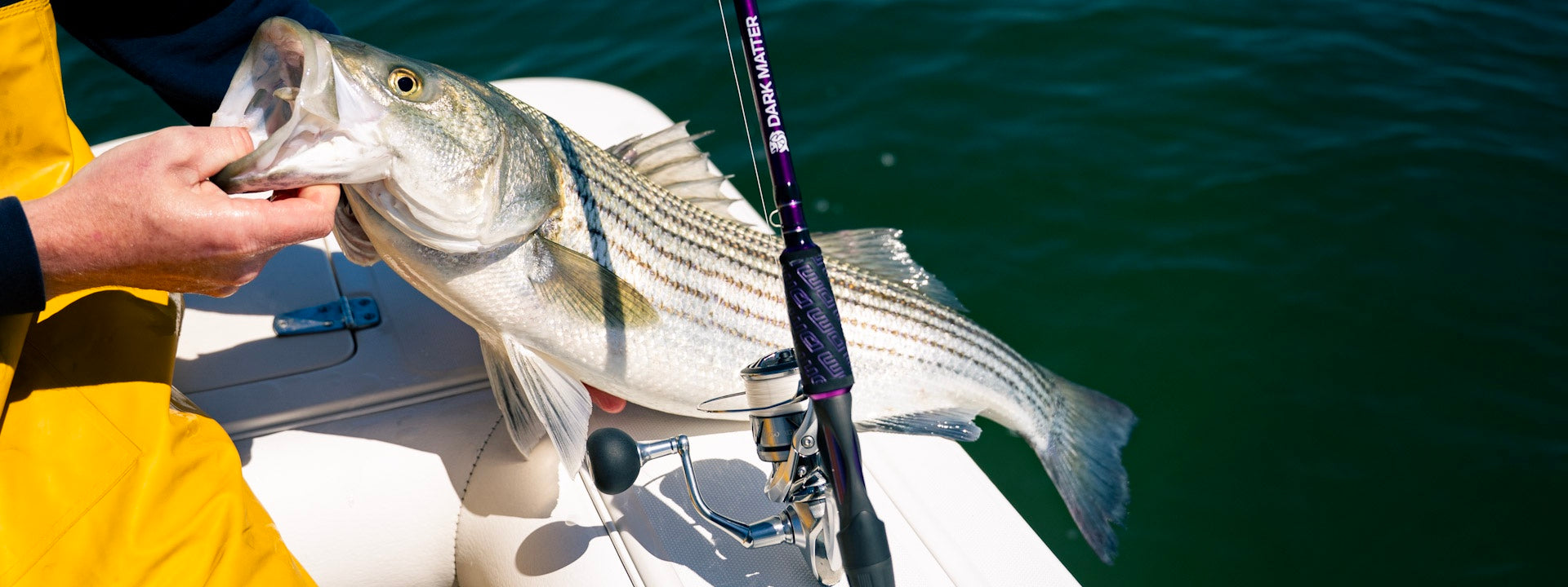 dank memer fishing pole Show Me Your Bobbers I'll Show You My Funny Saying Print Sticker - Sticks and Peels Inappropriate Fishing Shirt - Etsy